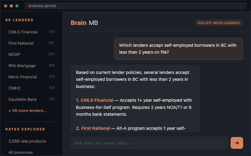 Brain MB